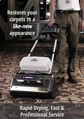 Commercial Carpet Cleaning Process