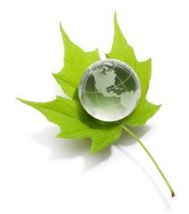 green cleaning