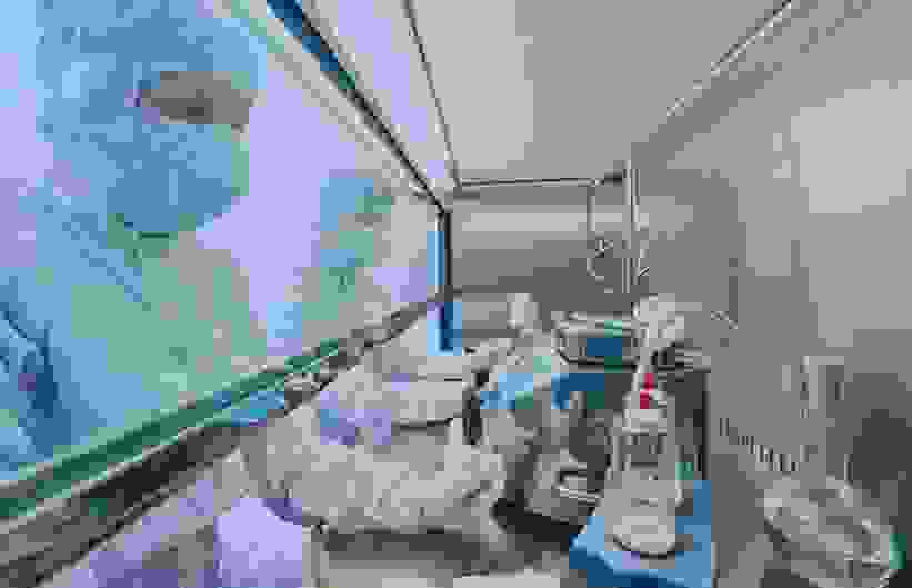 lab clean room
