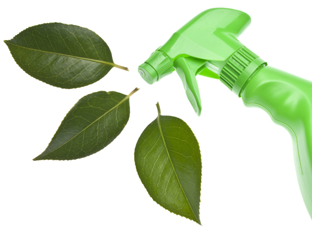 Green Cleaning Company