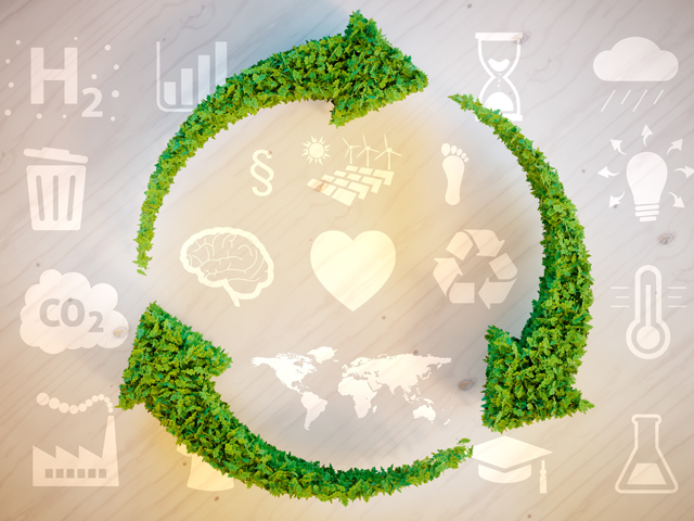 Sustainable Cleaning