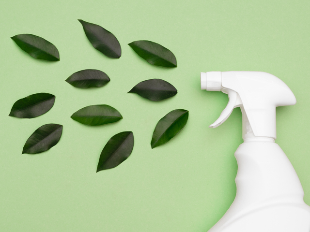 Green Cleaning Right