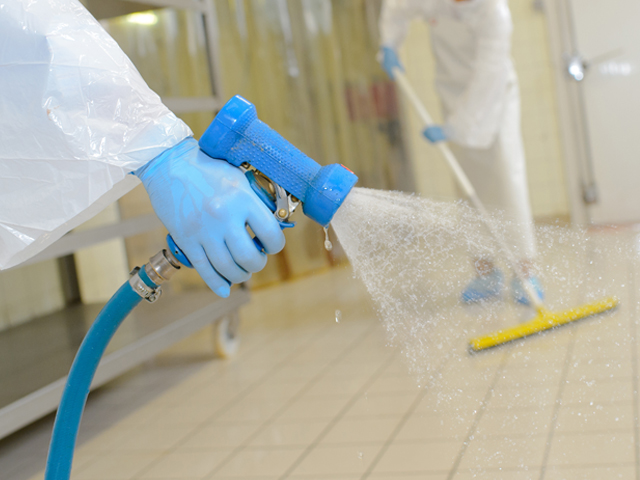 Lab Cleaning