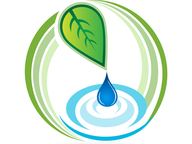 Green Cleaning Practices